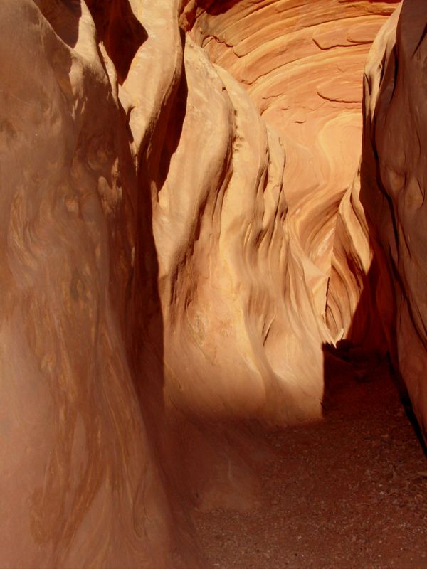 04160302LittleWildHorse (1103)